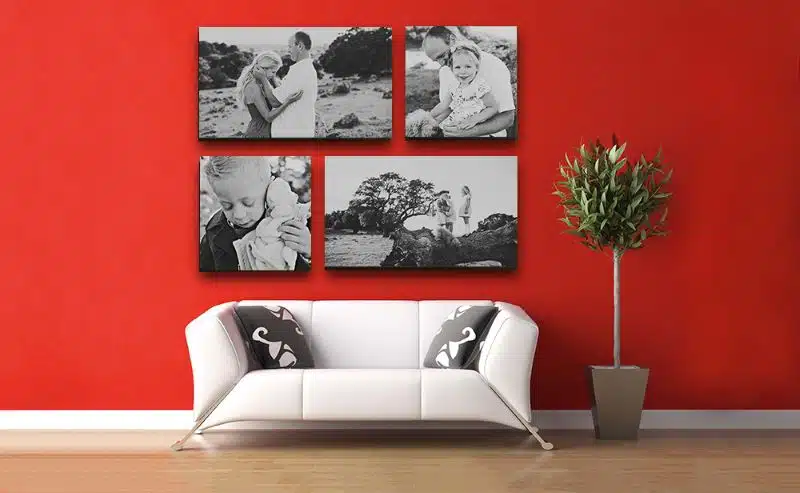 Black and white family photo canvas prints on red wall with modern white sofa and potted plant, home decor, wall art.