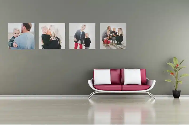 Happy family photos on grey wall with modern sofa and potted plant, stylish home interior decor.