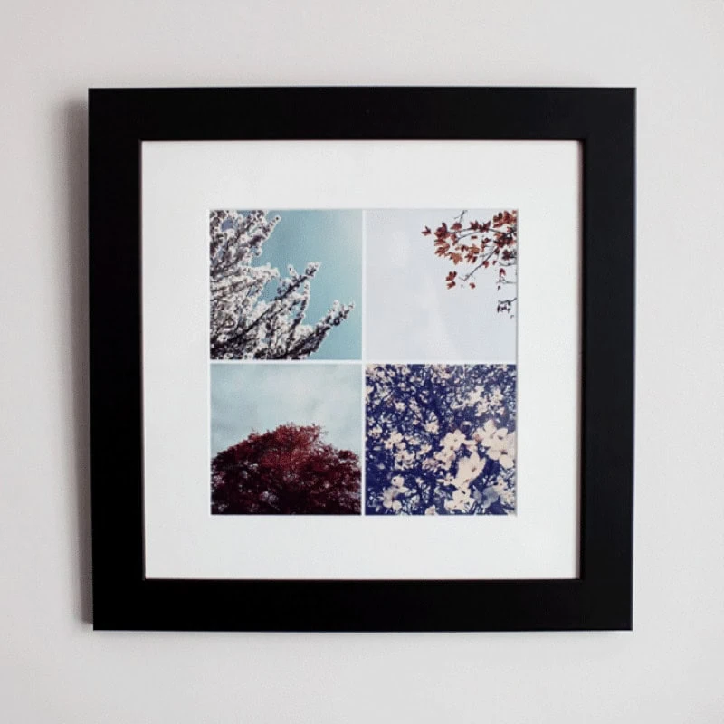 Vibrant collage of floral and tree close-up images in a black frame, wall art for nature lovers and home decor.